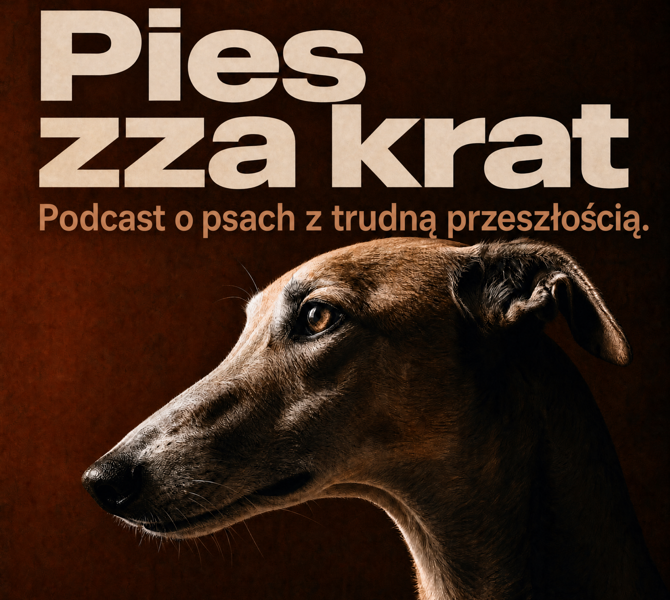 Pies zza krat - podcast o psach z trudną przeszłością